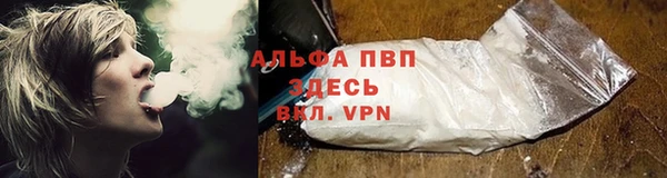 a pvp Абаза