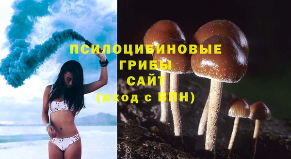 a pvp Абаза