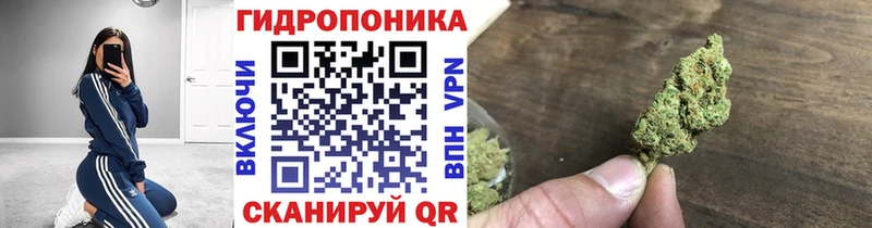Каннабис SATIVA & INDICA Алейск